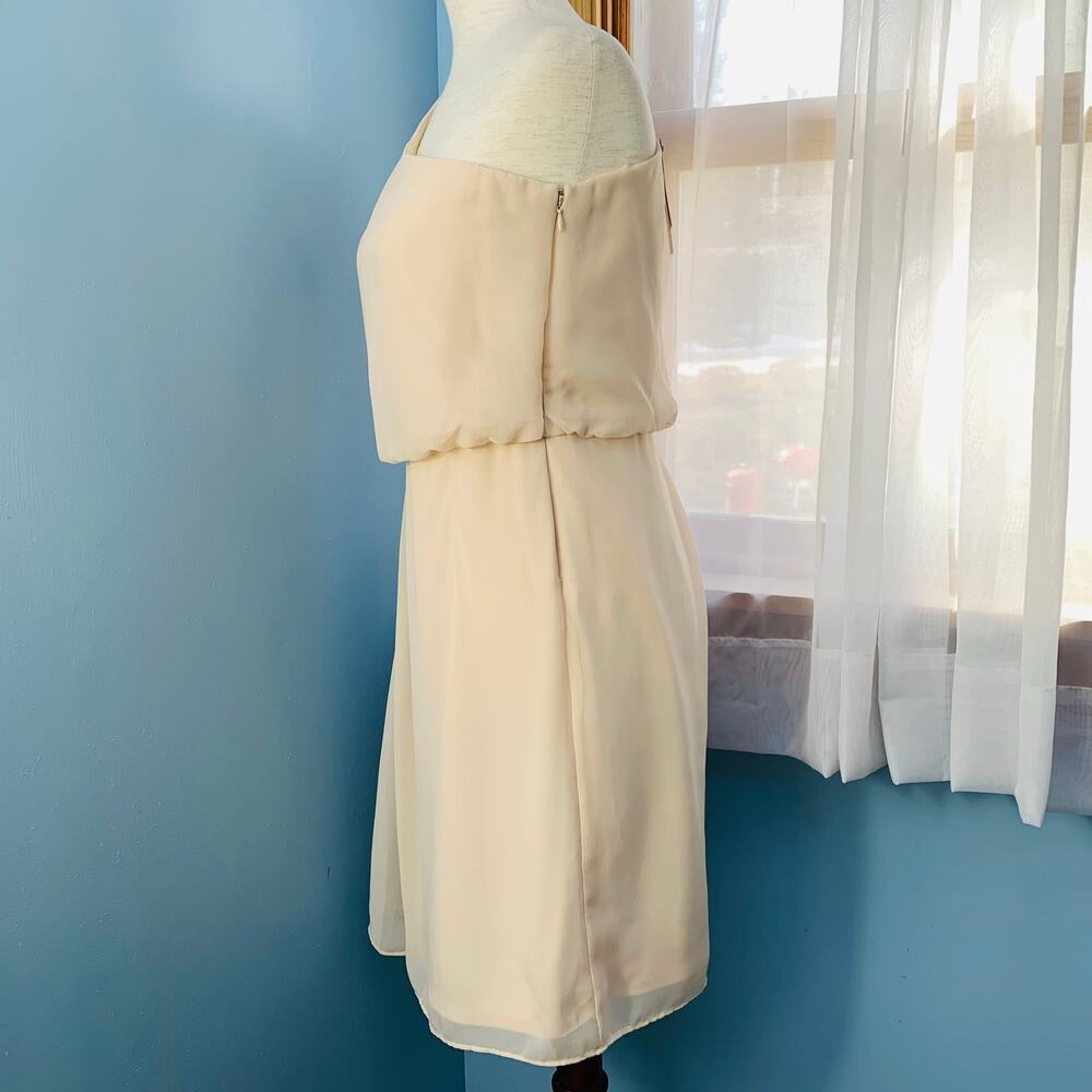 NWT Adrianna Papell Pink Blush One-Shoulder Chiffon Dress Size 4 - Picture 3 of 10